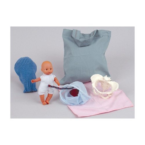 Pocket Childbirth Model Set (Uterus, Pelvis + Baby)