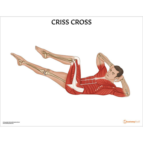 Criss Cross Pilates Pose Chart / Poster Laminated