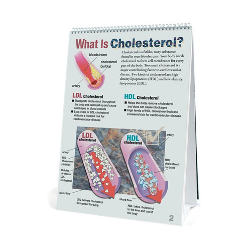 Educational Cholesterol Flip Chart