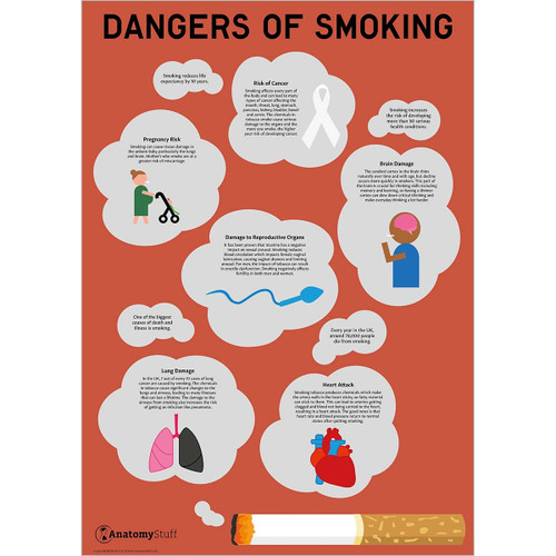 Dangers of Smoking Poster Cigarette Tobacco Health Risks