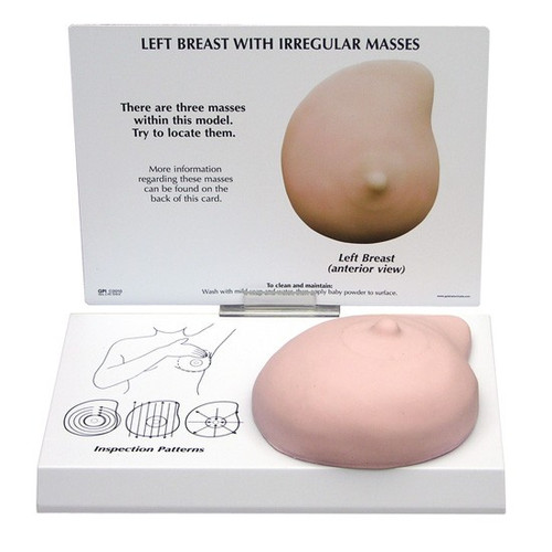 Life-like breast model with fibrocystic masses and tumours