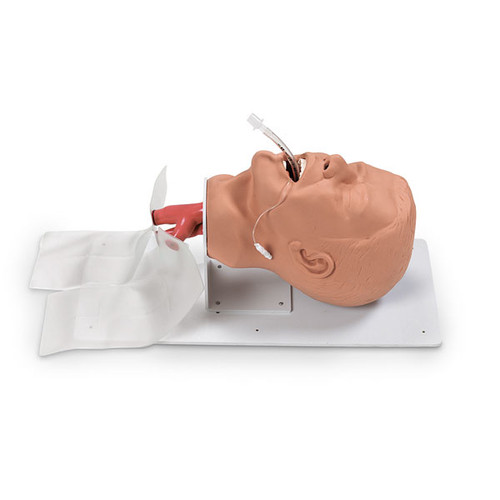 Economy Adult Airway Management Training Head with Board