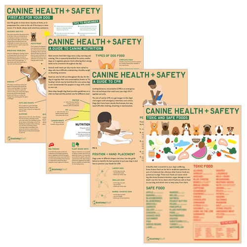 Canine Health & Safety 4 Poster Collection (Laminated)