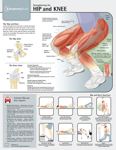 Strengthening the Hip and Knee Chart Poster Laminated HK1000