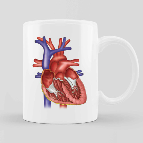 Heart Anatomy Ceramic Mug