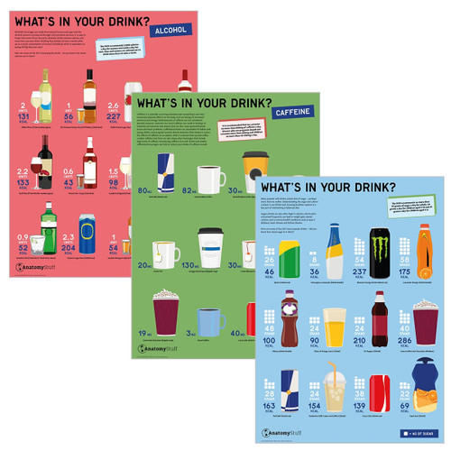 What's in your Drink? 3 Poster Collection | Alcohol Calorie Sugar Intake
