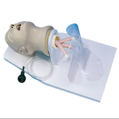 Airway Larry Training Head with Stand