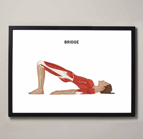 Pilates Bridge Fine Art Illustration Print
