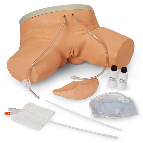 Female Catheterisation Simulator