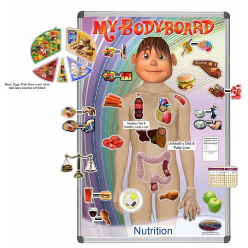 MyBodyBoard Nutrition (for Schools)