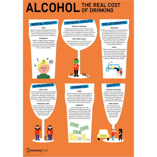 Alcohol The Real Costs of Drinking Poster
