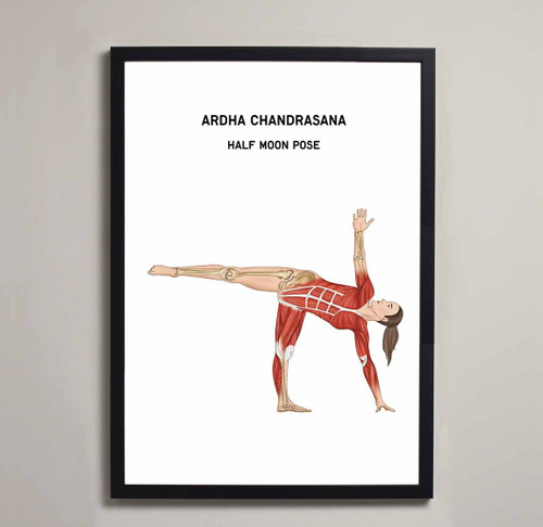 Yoga Half Moon Pose Fine Art Illustration Print