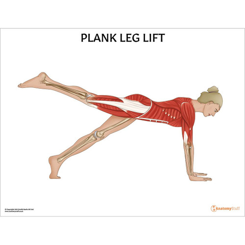 Plank Leg Lift Pilates Pose Chart / Poster Laminated
