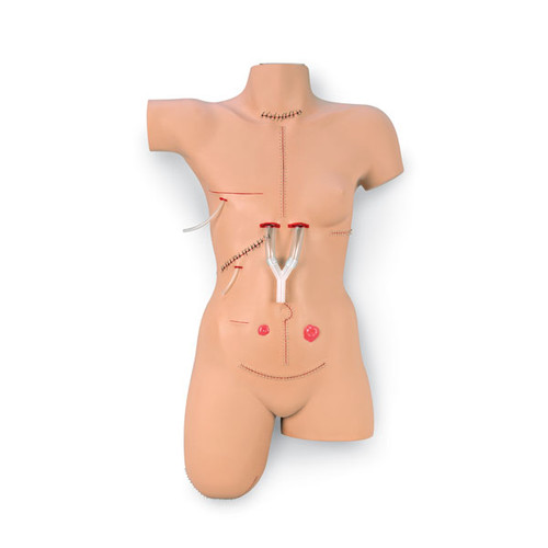 Surgical Sally Bandaging Training Model