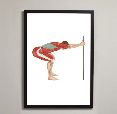 Latissimus Dorsi Stretch Fine Art Illustration Print