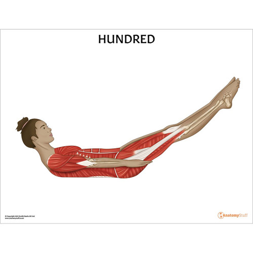 Hundred Pilates Post Chart / Poster Laminated