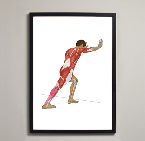 Calf Wall Stretch Fine Art Illustration Print