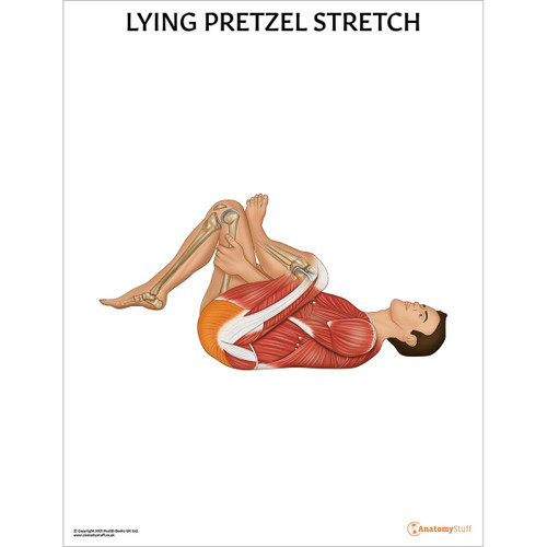 Laminated Lying Pretzel Stretch Chart