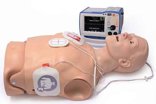 HAL Adult CPR+D Skills Trainer Torso