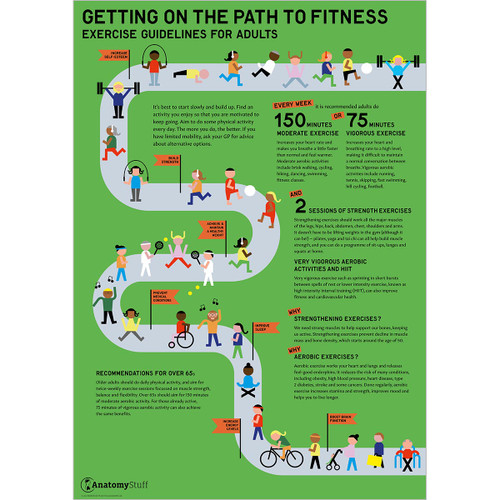 Exercise Guidelines for Adults Poster | Fitness Posters