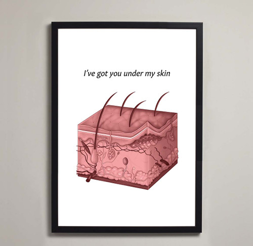 Framed Illustration of the skin - Valentine's anatomy print