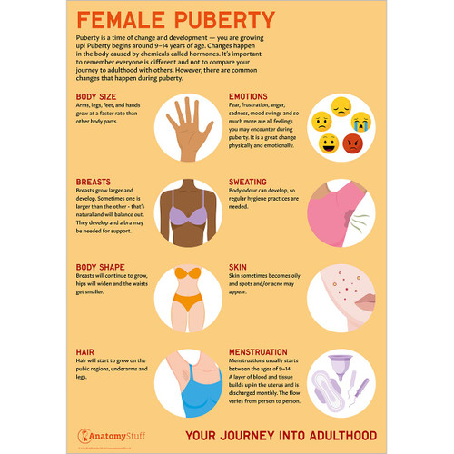 Female Puberty PSHE Laminated Chart