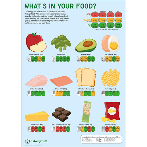 What's In Your Food? Poster by AnatomyStuff