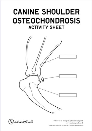 Canine Osteochondrosis shoulder activity sheet poster pdf
