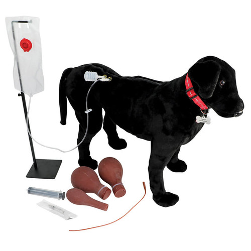 Canine Vet Trainer By Realityworks