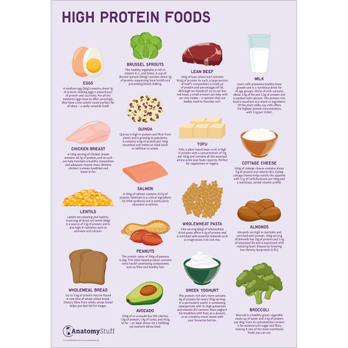 High Protein Foods Poster
