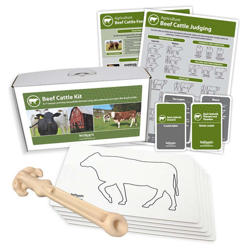 Agriculture Animal Education Kit - Beef Cattle