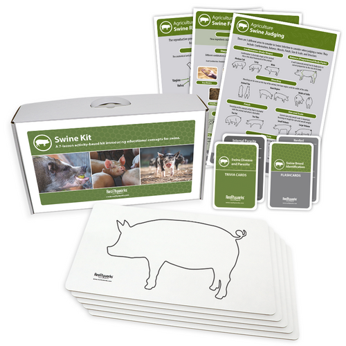 Agriculture Animal Education Kit - Swine