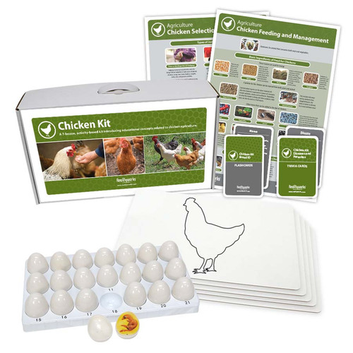 Agriculture Animal Education Kit - Chicken