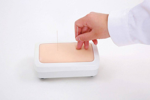 Acupuncture Training Model