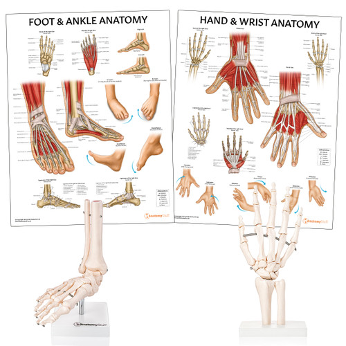 Orthopaedic Starter Pack Bundle