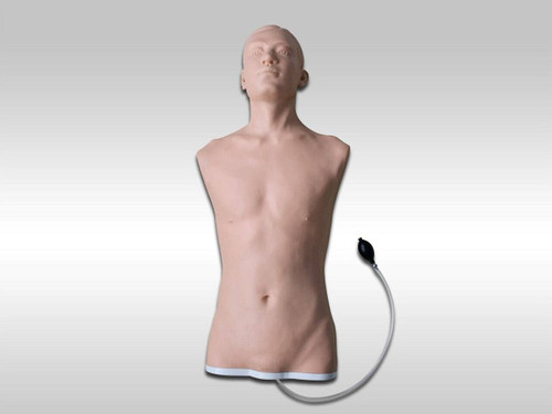 Pneumothorax Percussion and Puncture Training Model