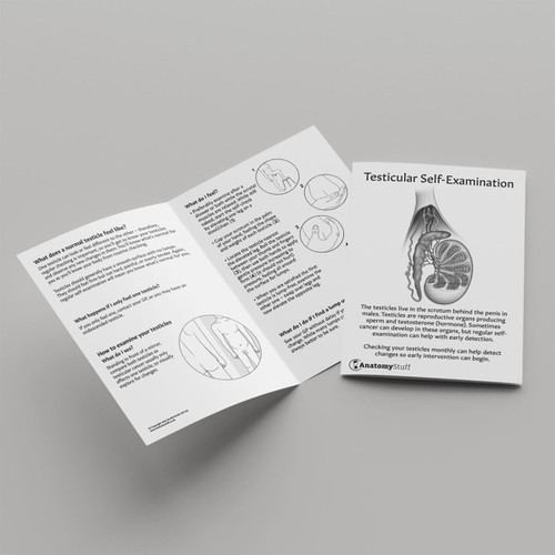 Testicular Self-Examination Leaflet