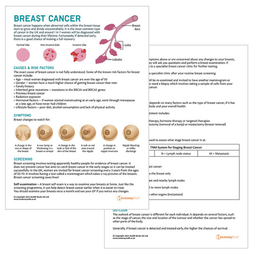 Breast Cancer Awareness Bundle | Breast Cancer Patient Education