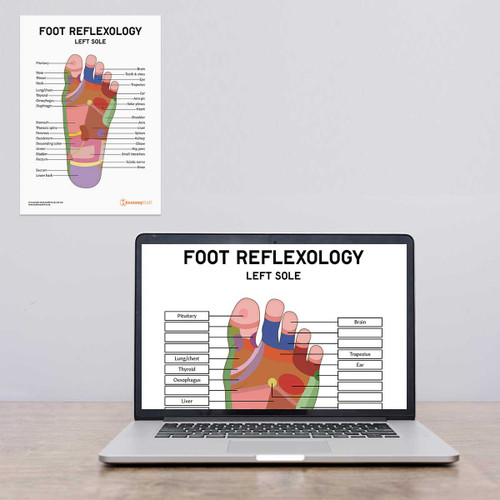 Foot Reflexology Laptop Mockup