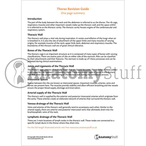 Thorax Revision Guide One Page Summary