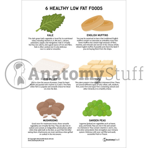 A Colourful 6 Healthy Low-Fat Foods Printable PDF