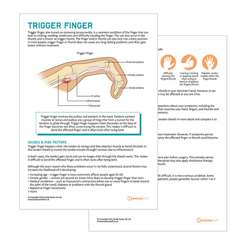 Trigger Finger Patient Education Handout
