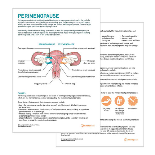 Perimenopause Patient Education Handout