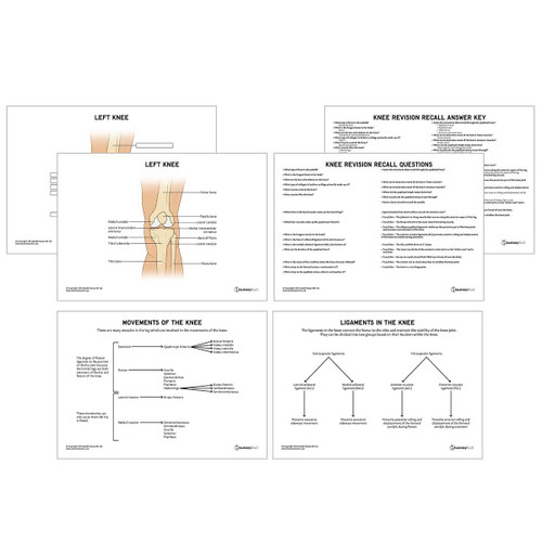 Pelvis, Anatomy Revision