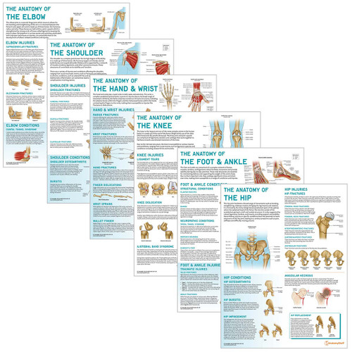 Peripheral Joint 6 Chart Collection (Laminated)