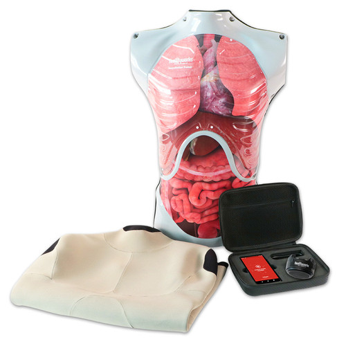 Auscultation Trainer by Realityworks