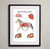 Equine Internal Anatomy Fine Art Print