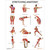 Laminated Stretching Anatomy Chart