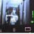 Sample of Output from the Thermal Imaging Scanner