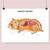 Hamster Anatomy Fine Art Print